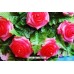 Букет из мыла ручной работы Розовые розы 4