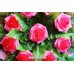 Букет из мыла ручной работы Розовые розы 4