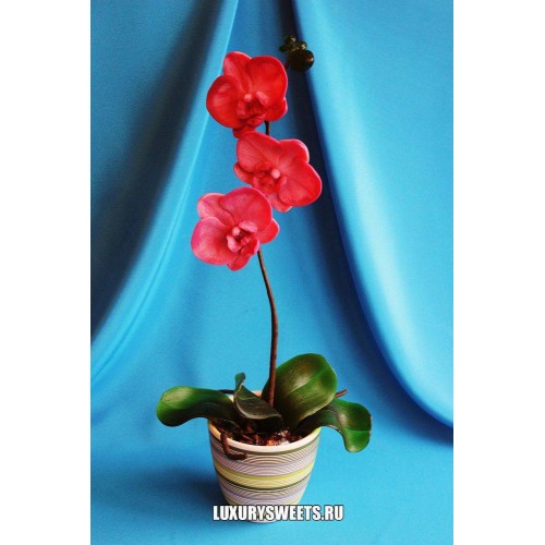 Орхидея в горшочке из мыла ручной работы Фламенко