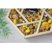Подарочный набор в деревянном ящике с крышкой Бокс из орехов и мёда Вкусные эмоции 7