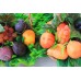 Корзина из мыла ручной работы Южные фрукты