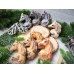 Мыло ручной работы Лошадка Маруся в коробочке