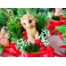Мыло ручной работы Мини-букет Счастливый конь Хорсик Хит