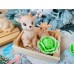Мыло ручной работы Набор в ящике Козочка с козлёнком