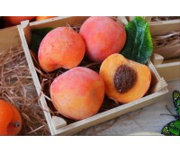 Мыло ручной работы Персики сладкие в ящике