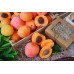 Мыло ручной работы Персики и абрикосы в коробочке