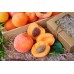 Мыло ручной работы Персики и абрикосы в коробочке